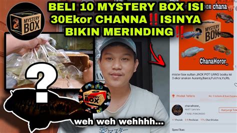 BELI 10 MYSTERY BOX CHANNA ISI 30 EKORISINYA BIKIN MERINDING YouTube