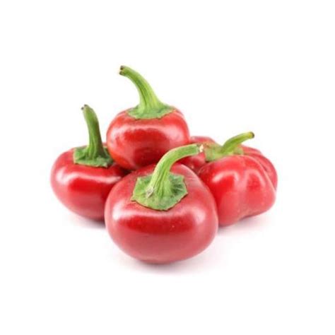 Hot Round Chilli Peppers Grandiose Ae