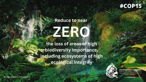 Global Biodiversity Framework Sets New Standard For Stewardship Of