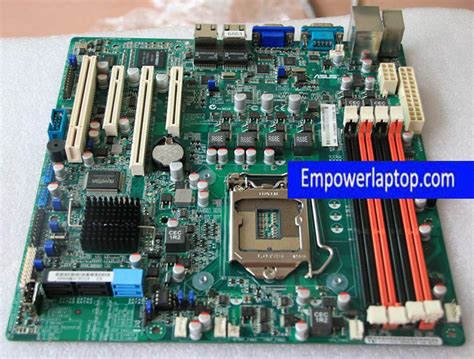 Asus Server Motherboard Telegraph