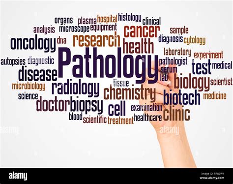 Pathology Word Cloud And Hand With Marker Concept On White Background