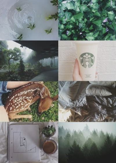 ♉ Taurus Aesthetic ♉ Tumbex