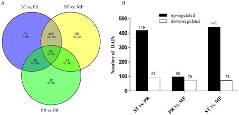 Analysis Of Differentially Accumulated Proteins Daps Between Download Scientific Diagram