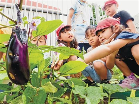 農業体験が「野菜好き」になるきっかけに 収穫体験、道内各地でめじろ押し！ Mamatalk（ママトーク）