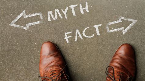 DIY Pest Control Myths & Facts | Soles Exterminating