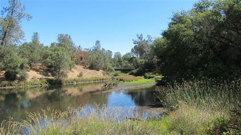 J and A's Excellent Adventure: American River Bike Trail...Fun in the scorching heat