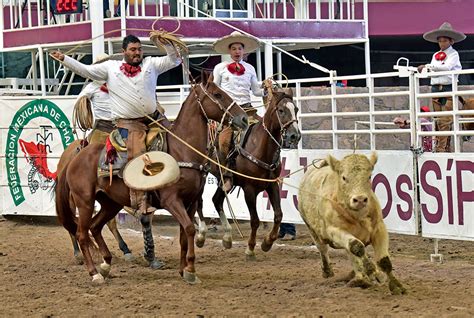 Villa Oro nueva líder de las escaramuzas con 315 66 puntos