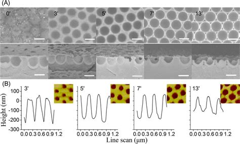 SEM Images Panel A And AFM Scans Panel B Showing The Morphological