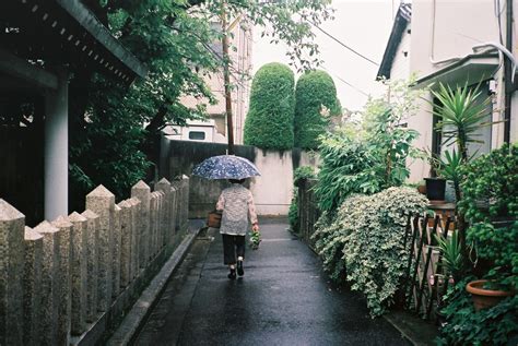 photokoto