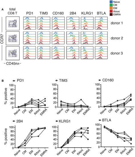 IR profiles change with CD8 T cell differentiation. Resting CD8 T cells ... 