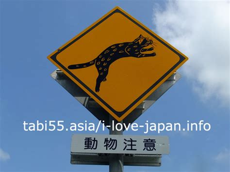 珍しい道路標識！爆笑×面白い×レアな日本の交通標識【13選】 ひとり旅ブログ｜日本国内「再」発見