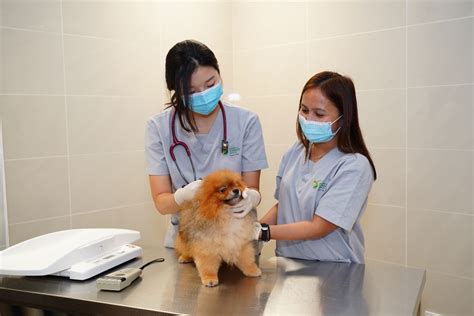 Opening Of Singapore S Animal Quarantine Centre Guarding Against