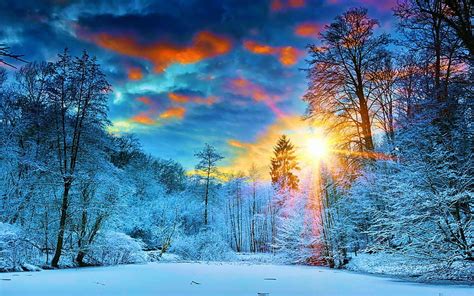 Winter Sunrise Wallpaper