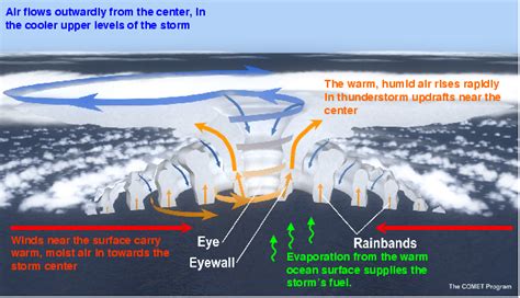 Hurricane Structure Diagram