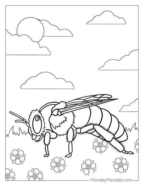 Bees And Honey Coloring Pages