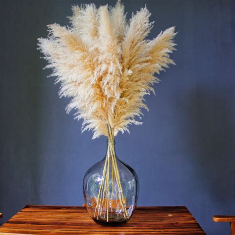 10 Stems 46 Inch DriedÂ Pampas Grass Decor Tall Large Pompas Grass Boho Neutral Home Decor