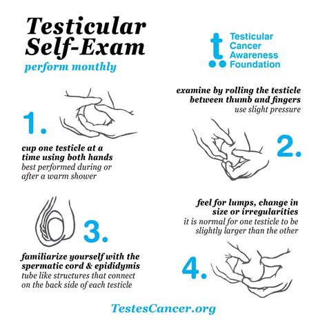 Monthly Testicular Self Exams — Tcaf