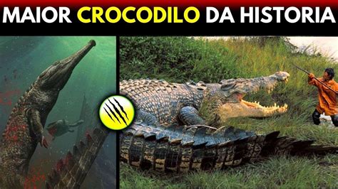 Lolong O Maior Crocodilo Que J Existiu Youtube