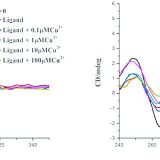 CD Spectra Of The Na Induced G Quadruplex In The Presence Of