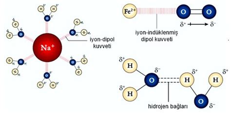 Prof. Dr. Bilsen Beşergil: Dipol-Dipol Etkileşim (dipole-dipole ...