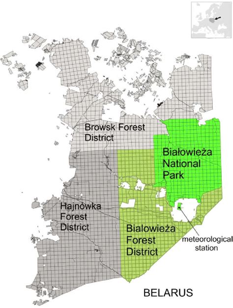 Polish Portion Of Bialowieza Forest Grids Denote The Borders Of Forest