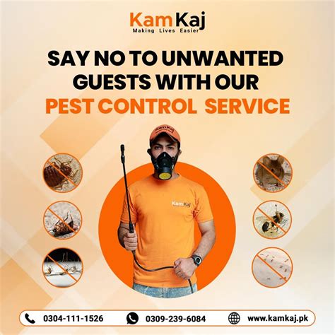 From Rodents To Roaches Were Dedicated To Your Pest Free Satisfaction