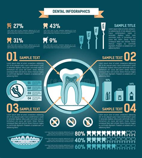 Tooth Anatomy Realistic Infographics Stock Vector Illustration Of