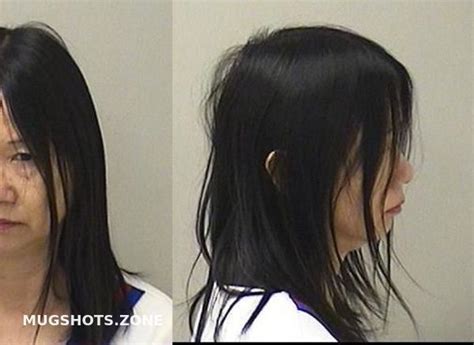 Wang Li Kane County Mugshots Zone