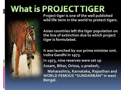 Project tiger and wild life conservation in india