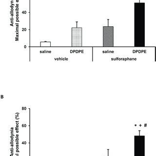 Effects Of Sfn On The Anti Allodynic Effects Of Dpdpe And Snc