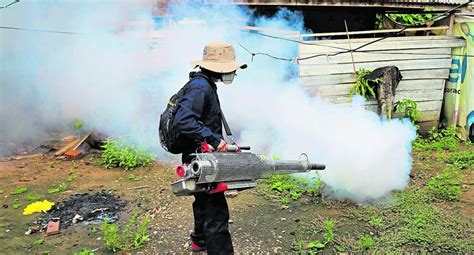 Epidemia Del Dengue Ya Está En 15 Distritos De Lima Peru GestiÓn