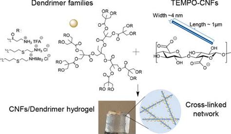 High Water Content Physically Cross Linked Hybrid Hydrogels Based On