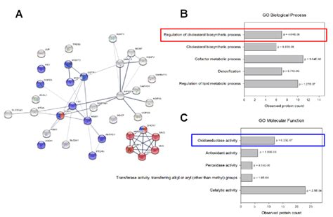 Proteomic Data Analysis A Interaction Network Of Regulated Proteins