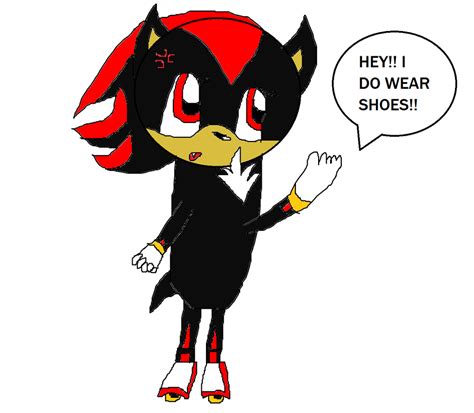 Shadow And His Shoes By Thunderxleaf On Deviantart