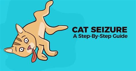 What To Do If Your Cat Is Having A Seizure