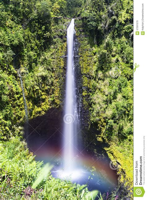 Akaka Falls State Park Waterfall With Rainbow Stock Image | CartoonDealer.com #150678235