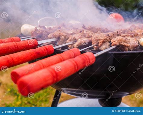 Shish Kebab Over Barbecue Stock Photography Cartoondealer