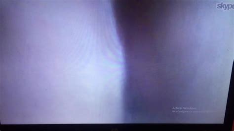 Mi Putito Me Muestra El Culo XVIDEOS