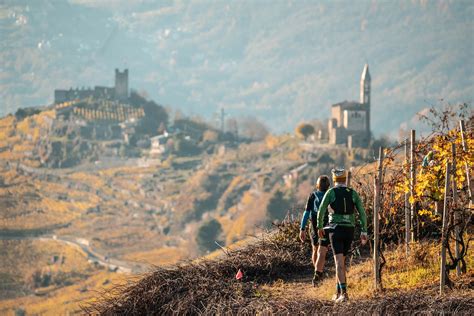 Tutto Pronto Per Il Valtellina Wine Trail