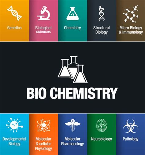 Biochemistry Major :D | Biochemistry major, Biochemistry, Biological ... 