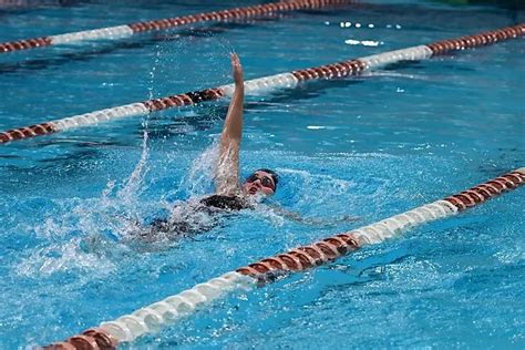 2019 2020 Photo Gallery Bowie Swim And Dive