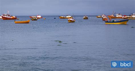 Obras para la nueva caleta de pescadores de Horcón cuentan con más de