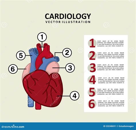 Paramedic Infographics Layout Cartoon Vector | CartoonDealer.com #74051327