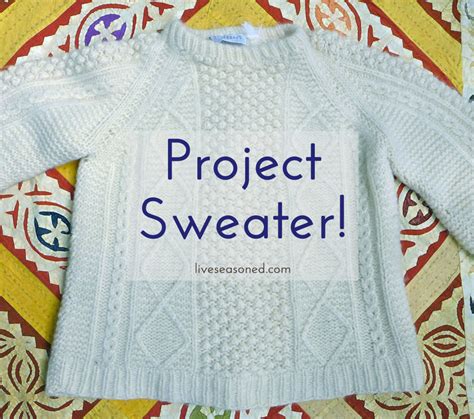 My Big Sweater Project