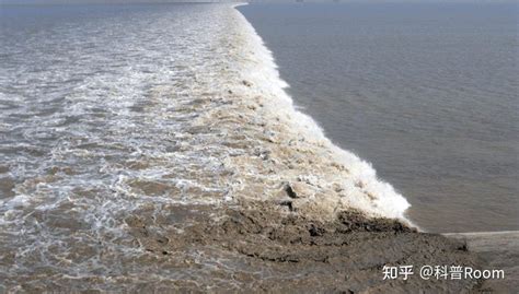 大海涨潮退潮的原理是什么？退潮后的海水去了哪里？来了解一下 知乎