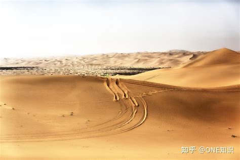 马云斥巨资在沙漠里种树，承诺每年1亿棵，六年过去了，树怎样了 知乎