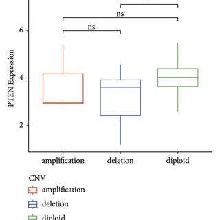 A The Work Flow Of This Study B Comparison Of PTEN Gene Expression