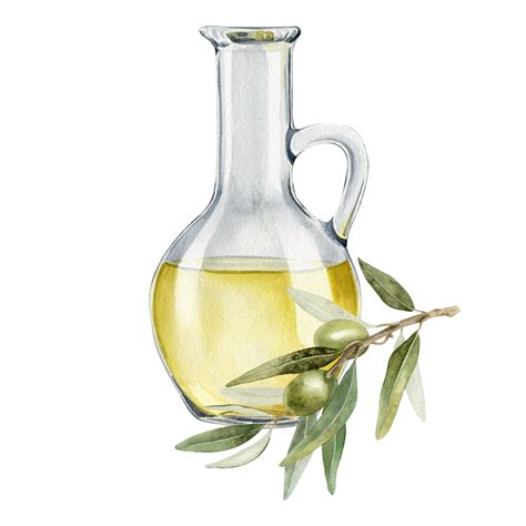 Bottle Of Olive Oil Olive Branches Leaves And Fruits Fresh Organic