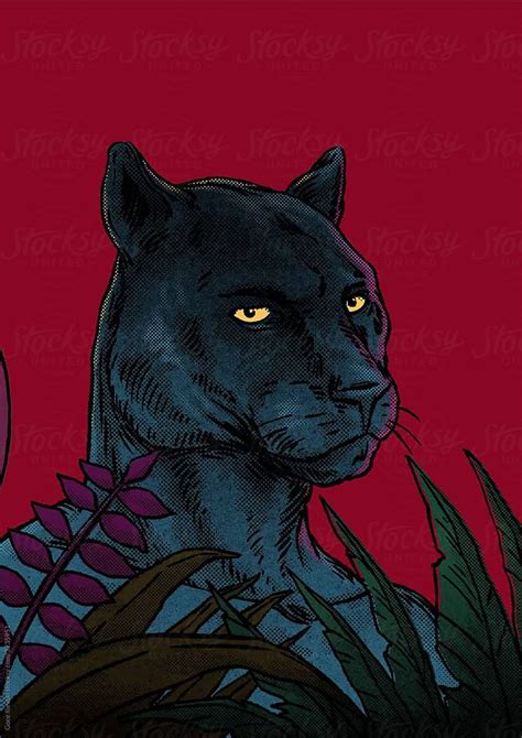 Black Panther With Moon And Plants Animation By Stocksy Contributor