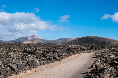 Volcanic Lanzarote Landscape. Canary Islands. Spain Stock Photo - Image ...